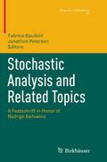 Stochastic Analysis and Related Topics