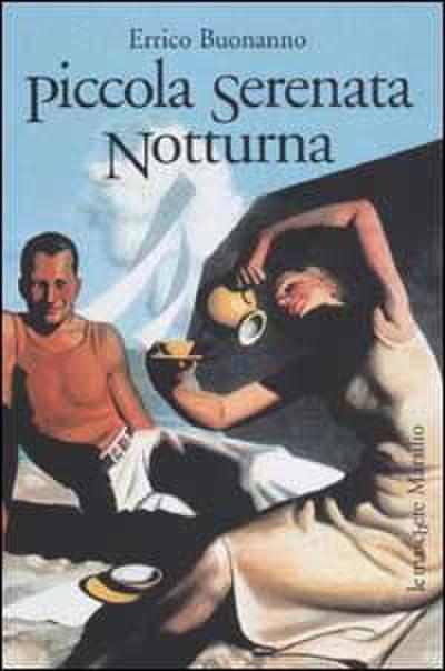 Piccola serenata notturna