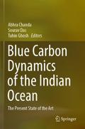 Blue Carbon Dynamics of the Indian Ocean