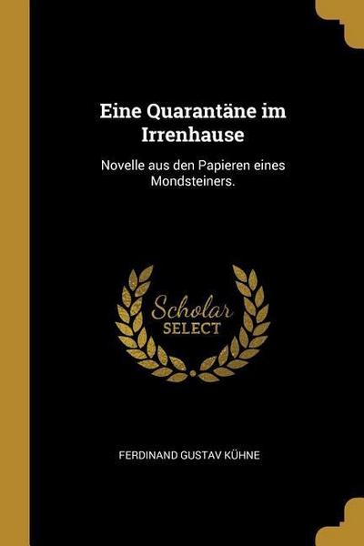 Eine Quarantäne Im Irrenhause: Novelle Aus Den Papieren Eines Mondsteiners.