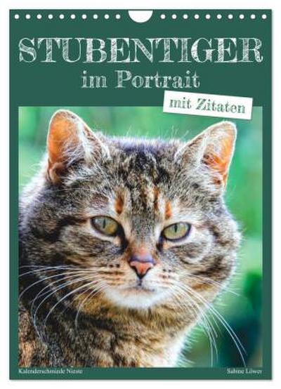 Stubentiger im Portrait (Wandkalender 2026 DIN A4 hoch), CALVENDO Monatskalender