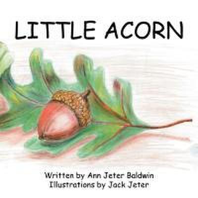 Little Acorn