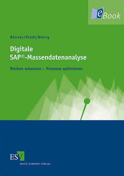Digitale SAP®-Massendatenanalyse