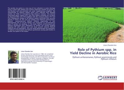 Role of Pythium spp. in Yield Decline in Aerobic Rice