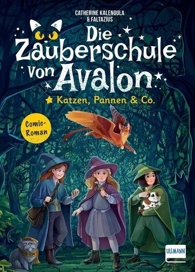 Zauberschule von Avalon