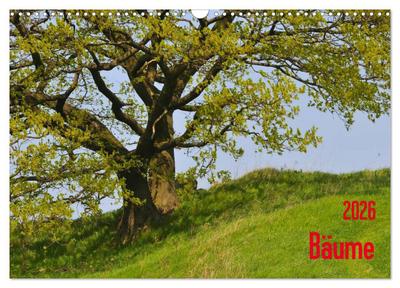 Bäume (Wandkalender 2026 DIN A3 quer), CALVENDO Monatskalender