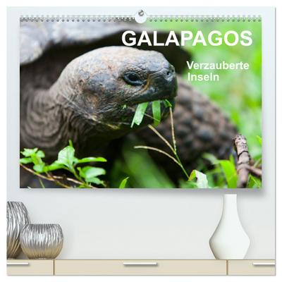Galapagos. Verzauberte Inseln (hochwertiger Premium Wandkalender 2024 DIN A2 quer), Kunstdruck in Hochglanz