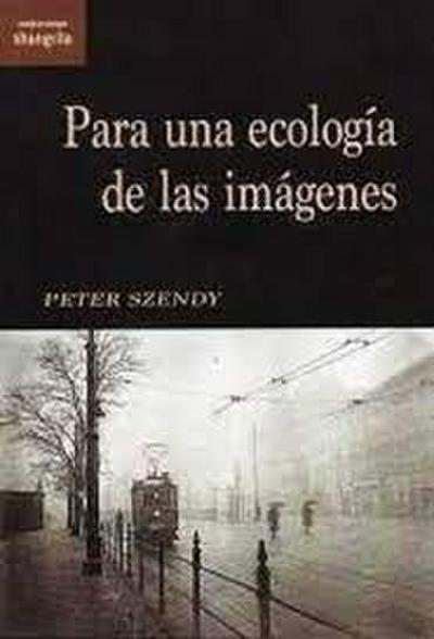 Para una ecología de la imágenes