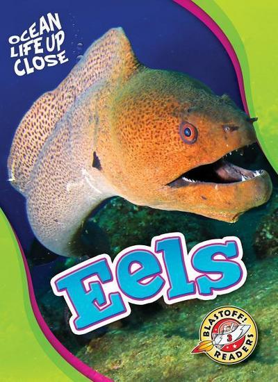 Eels