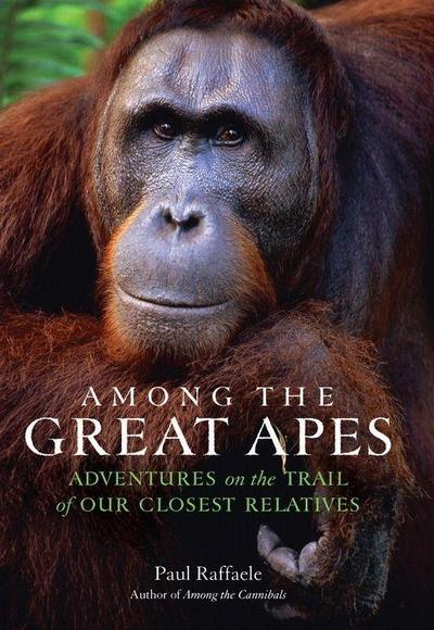 Raffaele, P: Among the Great Apes