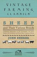 Sheep and Their Various Breeds - Containing Information on the Lincolnshire, the Saxon Merino, the Southdown and Many Other Varieties of Sheep