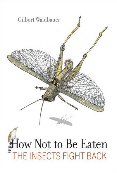 How Not to be Eaten - The Insects Fight Back