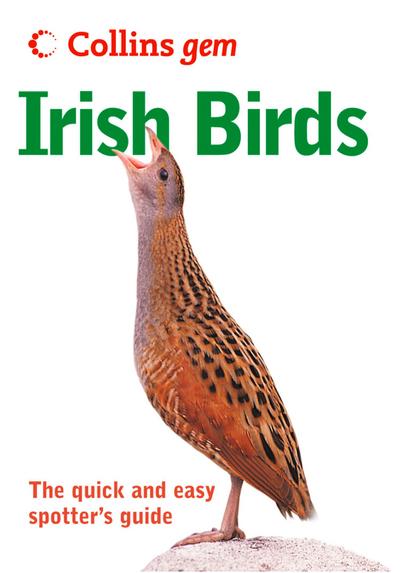 Irish birds