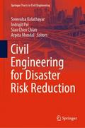 Civil Engineering for Disaster Risk Reduction