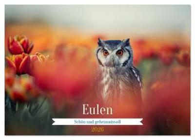Eulen - schön und geheimnisvoll (Tischkalender 2026 DIN A5 quer), CALVENDO Monatskalender