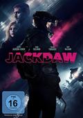Jackdaw