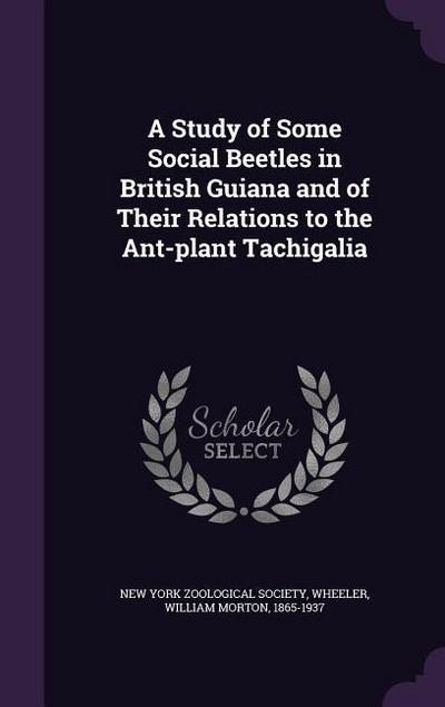 A Study of Some Social Beetles in British Guiana and of Their Relations to the Ant-plant Tachigalia
