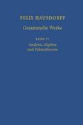 Felix Hausdorff - Gesammelte Werke Band IV
