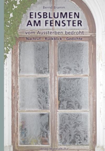 Eisblumen am Fenster