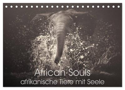 African Souls - afrikanische Tiere mit Seele (Tischkalender 2025 DIN A5 quer), CALVENDO Monatskalender
