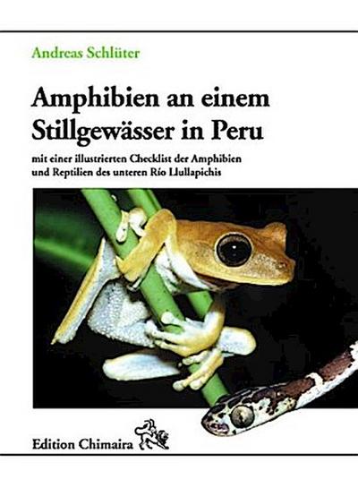 Amphibien an einem Stillgewässer in Peru
