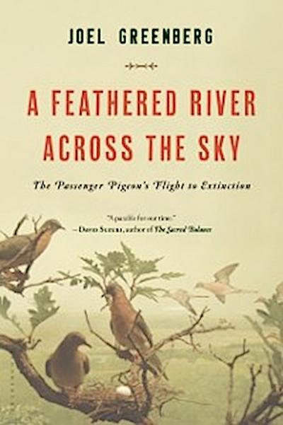 Feathered River Across the Sky