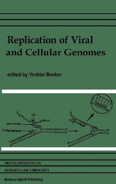 Replication of Viral and Cellular Genomes