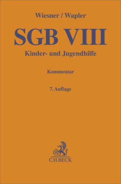 SGB VIII