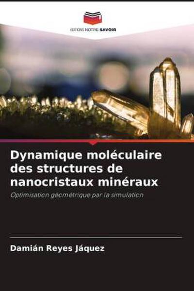 Dynamique moléculaire des structures de nanocristaux minéraux