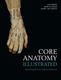 Core Anatomy - Illustrated
