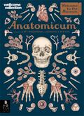 Anatomicum