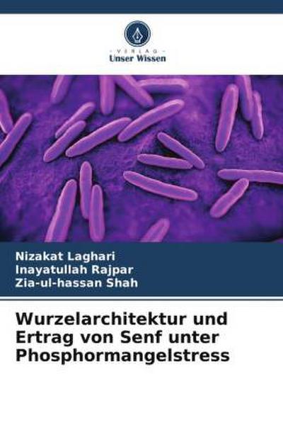 Wurzelarchitektur und Ertrag von Senf unter Phosphormangelstress