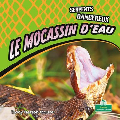 Le Mocassin d’Eau (Cottonmouths)