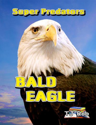 Bald Eagle (Super Predators)