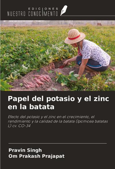 Papel del potasio y el zinc en la batata