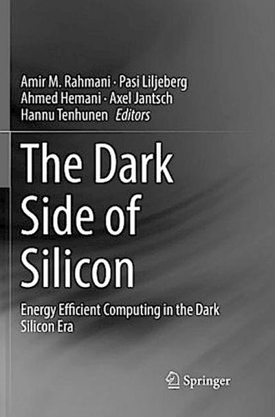 The Dark Side of Silicon