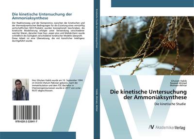 Die kinetische Untersuchung der Ammoniaksynthese