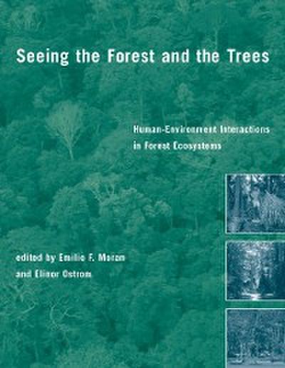 Seeing the Forest and the Trees