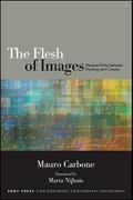 The Flesh of Images