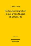 Haftungskoordination in der arbeitsteiligen Pflich