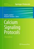 Calcium Signaling Protocols