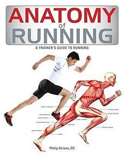 Anatomy of Running
