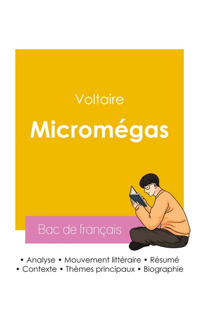 Réussir son Bac de français 2026 : Analyse de Micromégas de Voltaire