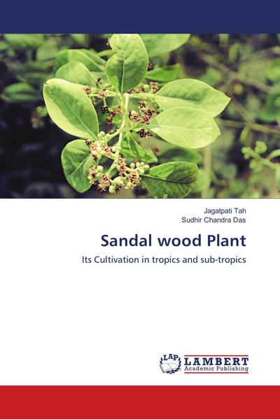 Sandal wood Plant
