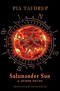 Salamander Sun and other poems