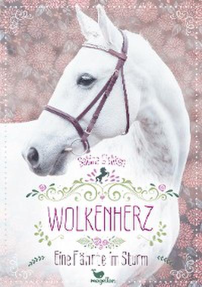 Wolkenherz - Eine Fährte im Sturm