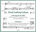 Störung durch Stille, 2 Audio-CD