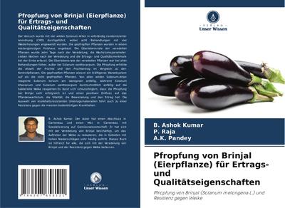 Pfropfung von Brinjal (Eierpflanze) für Ertrags- und Qualitätseigenschaften
