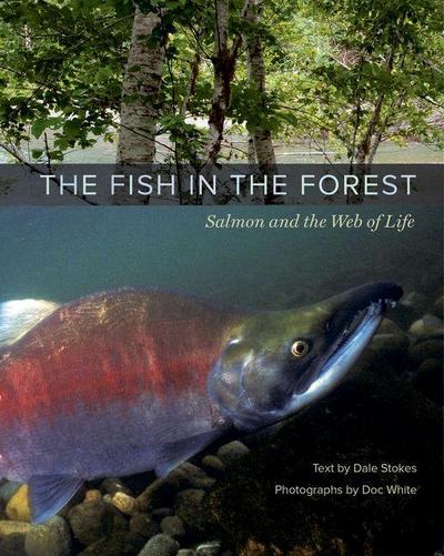 The Fish in the Forest