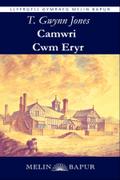 Camwri Cwm Eryr (eLyfr)